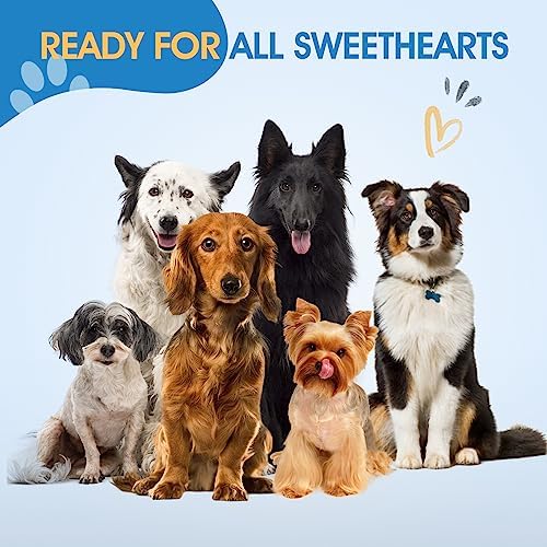 JASON Professional Dog Grooming Scissors Set   6 in 1 Sharp Shears Set With 7 Thinning  Chunker  Straight  Curved Shears and Comb for Cat Pet  Rosegold