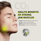 JAWLINER  3 0   Elite Edition  Bundle Pack