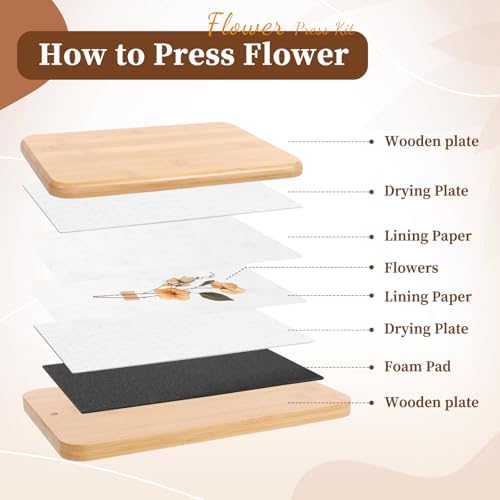 JFNoraiva Flower Press Kit 11   7 9 in Large Leaf Plant & Flower Press  Portable Bamboo Wooden Flower Preservation Kit  Includes Drying Plate & Lining Paper