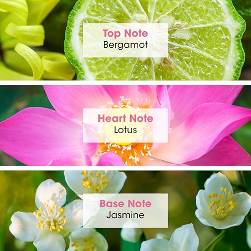 Jeanne Arthes   Boum Savon Eau De Parfum   Spray Perfume for Women   Fresh Floral Scent   Notes of Bergamot  Water Lily   Made in France   3 38 fl oz