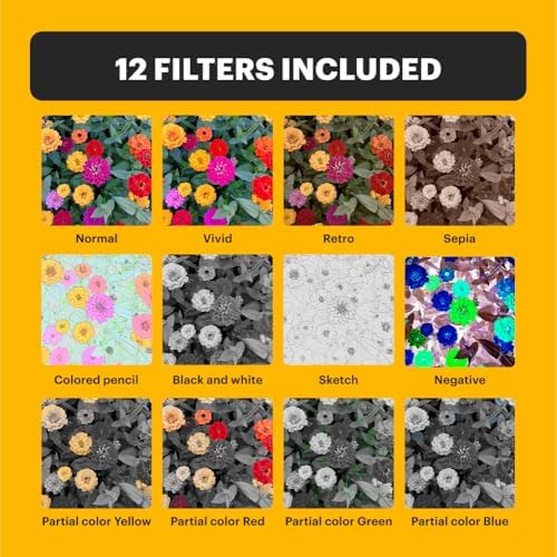 KODAK PIXPRO C1 Friendly Zoom Digital Camera   13MP Compact Point and Shoot with 2 8  180  Tilt LCD Flip Screen  Retro Vintage Design with 4X Zoom and 1080P Full HD Video for Travel  Vlogging  Brown