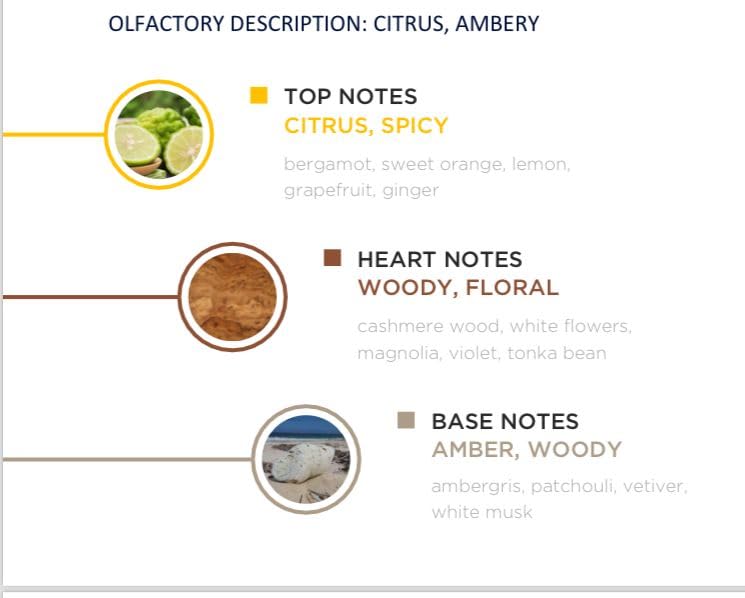 KORBAJ PARFUMS Emir   Arabian Perfume for Women  Eau de Parfum Men with with Sicilian Orange  Calabrian Bergamot   White Musk  Vanilla  Amber and Fruity Notes100ml