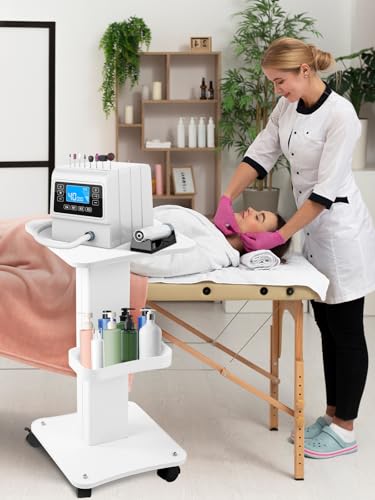 Kalolary Beauty Salon Trolley Cart  Aluminum Alloy Salon Spa Rolling Trolley Stand Mobile Cart with Wheel Beauty Instrument Storage Tray