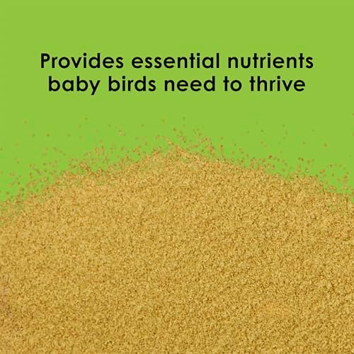 Kaytee Exact Hand Feeding Pet Bird Baby Food For Parrots  Parakeets  Lovebirds  Cockatiels  Conures  Cockatoos  and Macaws  5 Pound