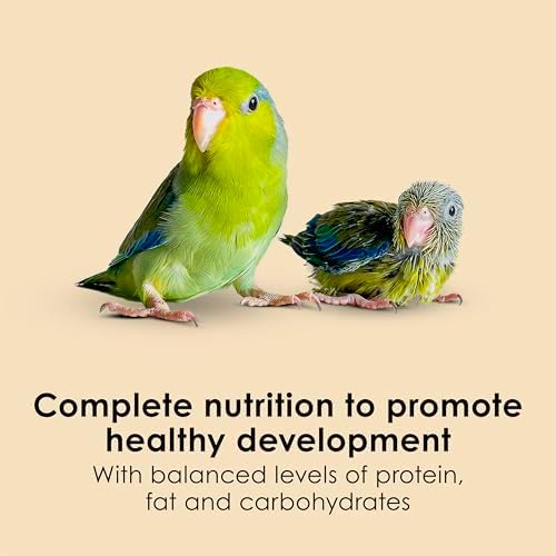 Kaytee Exact Hand Feeding Pet Bird Baby Food For Parrots  Parakeets  Lovebirds  Cockatiels  Conures  Cockatoos  and Macaws  5 Pound