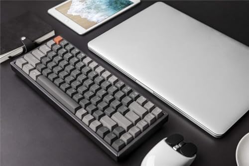 Keychron K2 Wireless Mechanical Keyboard  75  Layout 84 Key Bluetooth/USB C Wired Compact RGB Backlit Anti Ghosting/N Key Rollover  Gateron G Pro Brown Switch Aluminum Frame for Mac Windows  Version 2
