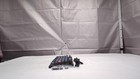 Keychron Q11 Qmk/via Tkl Split Keyboard Ergonomic  91 Keys 75  Layout Wired