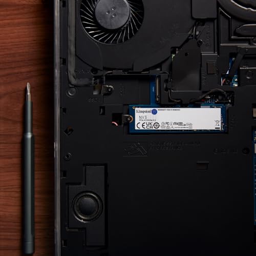 Kingston NV3 1TB M 2 2280 NVMe SSD   PCIe 4 0 Gen 4x4   Up to 6000 MB/s   SNV3S/1000G