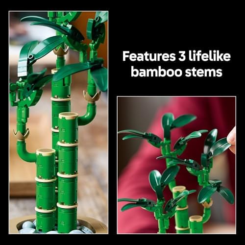 LEGO Botanicals Lucky Bamboo Building Set   Artificial Plant for Indoor Home Décor  Adults Ages 18    Gift for Birthdays for Him   Fake Plant Decoration for Table  Desk  Office   10344