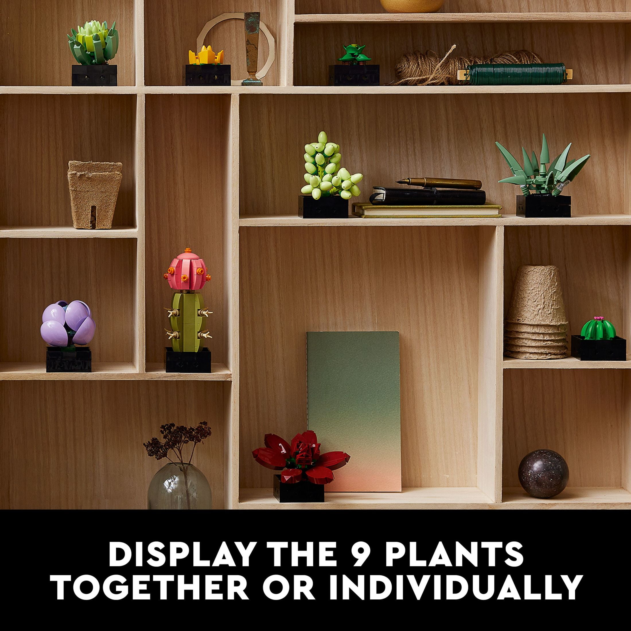 LEGO Icons Succulents  5" Artificial Plant  Multicolor  Plastic  for Home Decor