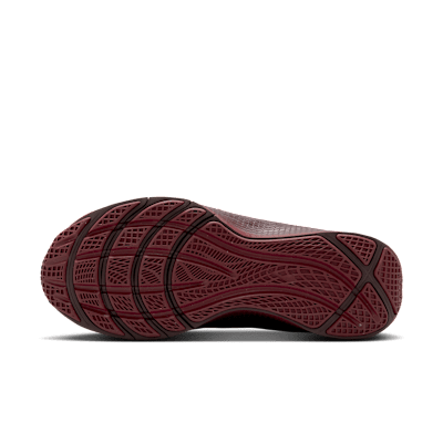 LeBron TR 1