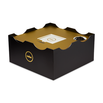 LeBron XXIII "Grand Opening"