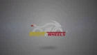 Led Tail Light Integrated Turn Signals Suzuki  2003 2008 SV650 SV1000