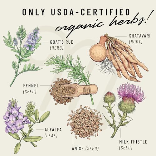 Legendairy Milk Liquid Gold Lactation Support   Lactation Supplement with Organic Goats Rue  Milk Thistle  Shatavari  Fennel  Alfalfa & Anise   Breastfeeding Supplements  60 Count