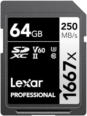 Lexar 256GB  2 Pack  Professional 1667x SD Card  UHS II  C10  U3  V60  Full HD  4K  Up To 250MB/s Read SDXC Memory Card  for Professional Photographer  Videographer  Enthusiast  LSD1667256G B2NNU 