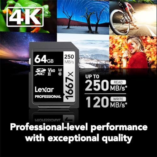 Lexar 256GB  2 Pack  Professional 1667x SD Card  UHS II  C10  U3  V60  Full HD  4K  Up To 250MB/s Read SDXC Memory Card  for Professional Photographer  Videographer  Enthusiast  LSD1667256G B2NNU 