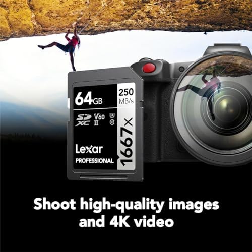 Lexar 256GB  2 Pack  Professional 1667x SD Card  UHS II  C10  U3  V60  Full HD  4K  Up To 250MB/s Read SDXC Memory Card  for Professional Photographer  Videographer  Enthusiast  LSD1667256G B2NNU 