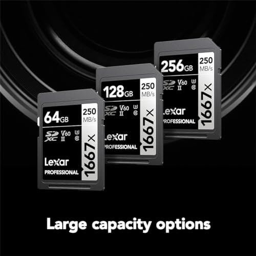 Lexar 256GB  2 Pack  Professional 1667x SD Card  UHS II  C10  U3  V60  Full HD  4K  Up To 250MB/s Read SDXC Memory Card  for Professional Photographer  Videographer  Enthusiast  LSD1667256G B2NNU 