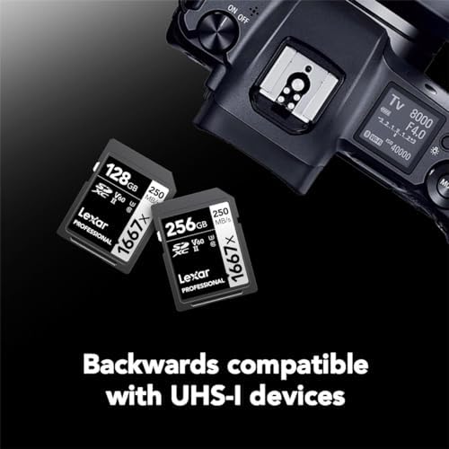 Lexar 256GB  2 Pack  Professional 1667x SD Card  UHS II  C10  U3  V60  Full HD  4K  Up To 250MB/s Read SDXC Memory Card  for Professional Photographer  Videographer  Enthusiast  LSD1667256G B2NNU 