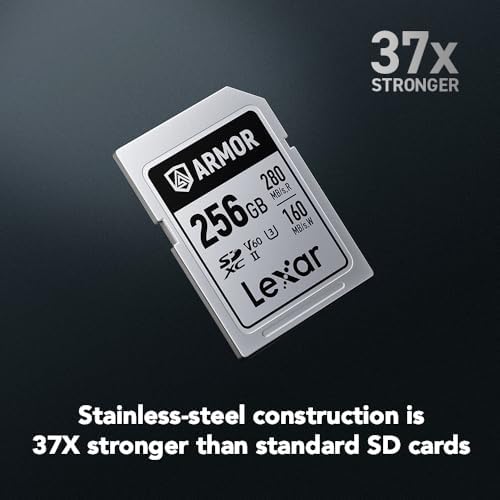 Lexar 256GB  2 Pack  Professional 1667x SD Card  UHS II  C10  U3  V60  Full HD  4K  Up To 250MB/s Read SDXC Memory Card  for Professional Photographer  Videographer  Enthusiast  LSD1667256G B2NNU 
