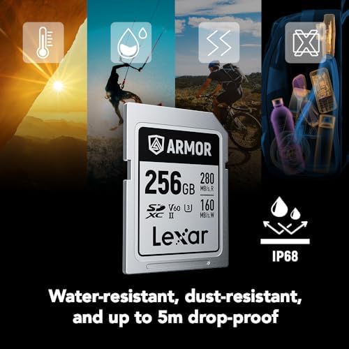 Lexar 256GB  2 Pack  Professional 1667x SD Card  UHS II  C10  U3  V60  Full HD  4K  Up To 250MB/s Read SDXC Memory Card  for Professional Photographer  Videographer  Enthusiast  LSD1667256G B2NNU 