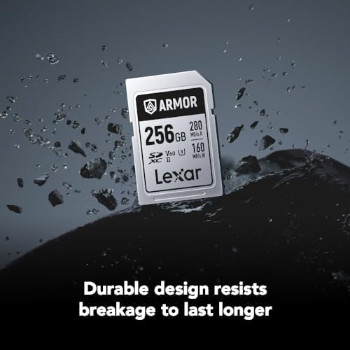 Lexar 256GB  2 Pack  Professional 1667x SD Card  UHS II  C10  U3  V60  Full HD  4K  Up To 250MB/s Read SDXC Memory Card  for Professional Photographer  Videographer  Enthusiast  LSD1667256G B2NNU 