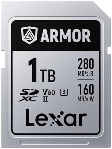 Lexar 256GB  2 Pack  Professional 1667x SD Card  UHS II  C10  U3  V60  Full HD  4K  Up To 250MB/s Read SDXC Memory Card  for Professional Photographer  Videographer  Enthusiast  LSD1667256G B2NNU 