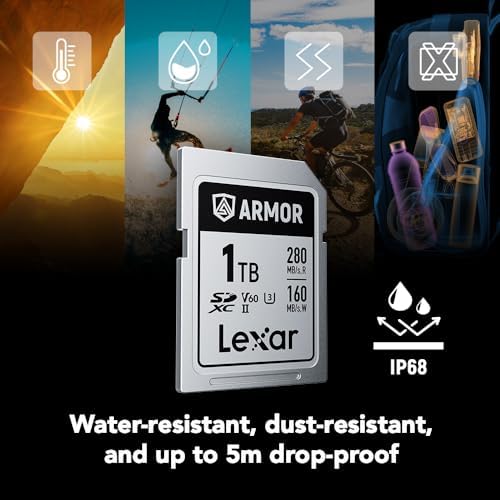 Lexar 256GB  2 Pack  Professional 1667x SD Card  UHS II  C10  U3  V60  Full HD  4K  Up To 250MB/s Read SDXC Memory Card  for Professional Photographer  Videographer  Enthusiast  LSD1667256G B2NNU 