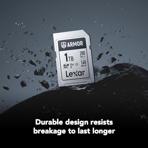 Lexar 256GB  2 Pack  Professional 1667x SD Card  UHS II  C10  U3  V60  Full HD  4K  Up To 250MB/s Read SDXC Memory Card  for Professional Photographer  Videographer  Enthusiast  LSD1667256G B2NNU 