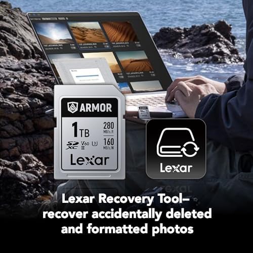 Lexar 256GB  2 Pack  Professional 1667x SD Card  UHS II  C10  U3  V60  Full HD  4K  Up To 250MB/s Read SDXC Memory Card  for Professional Photographer  Videographer  Enthusiast  LSD1667256G B2NNU 