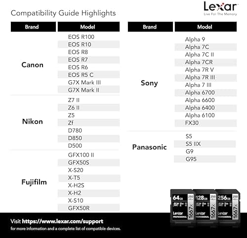 Lexar 256GB  2 Pack  Professional 1667x SD Card  UHS II  C10  U3  V60  Full HD  4K  Up To 250MB/s Read SDXC Memory Card  for Professional Photographer  Videographer  Enthusiast  LSD1667256G B2NNU 