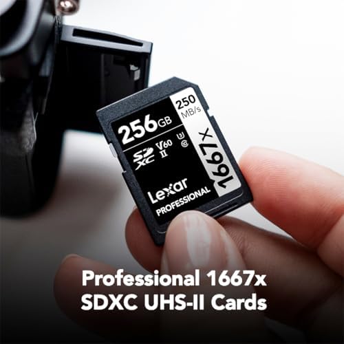Lexar 256GB  2 Pack  Professional 1667x SD Card  UHS II  C10  U3  V60  Full HD  4K  Up To 250MB/s Read SDXC Memory Card  for Professional Photographer  Videographer  Enthusiast  LSD1667256G B2NNU 
