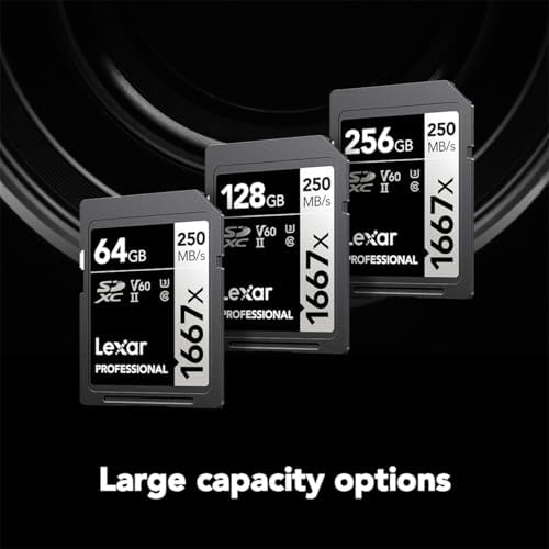 Lexar 256GB  2 Pack  Professional 1667x SD Card  UHS II  C10  U3  V60  Full HD  4K  Up To 250MB/s Read SDXC Memory Card  for Professional Photographer  Videographer  Enthusiast  LSD1667256G B2NNU 