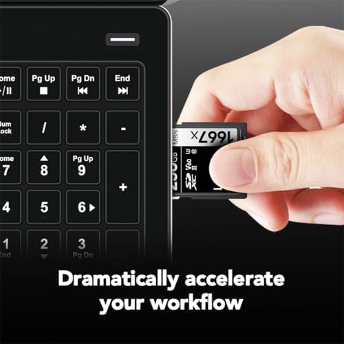 Lexar 256GB  2 Pack  Professional 1667x SD Card  UHS II  C10  U3  V60  Full HD  4K  Up To 250MB/s Read SDXC Memory Card  for Professional Photographer  Videographer  Enthusiast  LSD1667256G B2NNU 