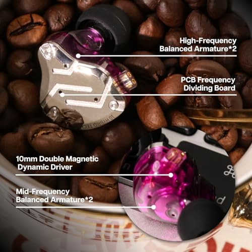 Linsoul KZ ZS10 Pro  4BA 1DD 5 Driver in Ear Monitor  HiFi Wired Earbuds  Gaming Earbuds  Hybrid IEM Earphones with Stainless Steel Faceplate  Detachable Cable for Musician with Mic  Black 