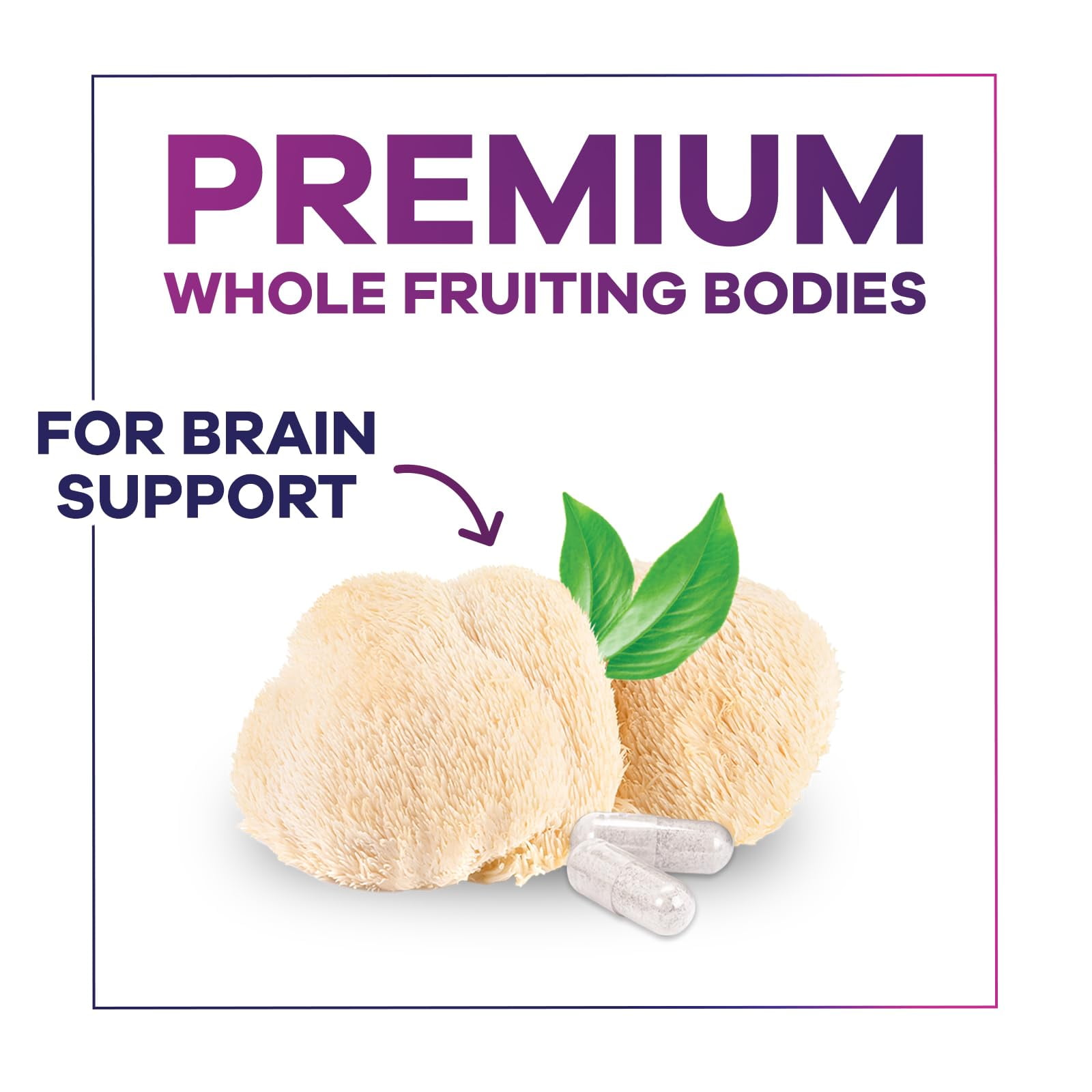 Lions Mane Supplement   Lions Mane 1000mg Per Serving   Extra Strength Lion s Mane Mushroom   Superfood for Natural Memory & Focus Support  Brain  Immune Health Support   USA Bottled   120 Capsules