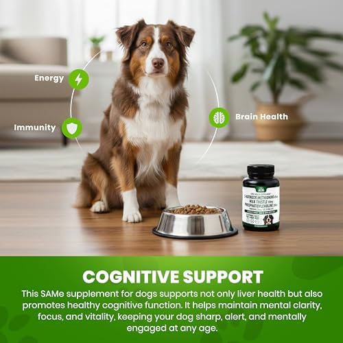 Liver Support for Dogs  30 Count  Dog Liver Supplement with S adenosyl L methionine  SAM e   & Silybum  Milk Thistle  Supplement for Large Dog  Third Party Tested & Non GMO   30 Chewable Tablets