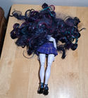Lot of 5 Shadow High And Rainbow High Doll Clothed Dolls & Accessories