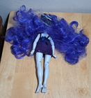 Lot of 5 Shadow High And Rainbow High Doll Clothed Dolls & Accessories