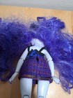 Lot of 5 Shadow High And Rainbow High Doll Clothed Dolls & Accessories