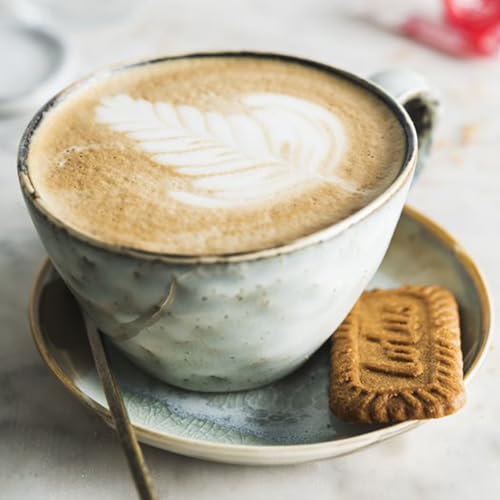 Lotus Biscoff Cookies   Caramelized Biscuit Cookies   300 Cookies Individually Wrapped   Vegan 0 2 Ounce  Pack of 300 