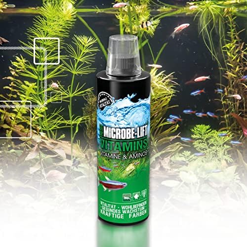 MICROBE LIFT Vitamins & Amino Acids   16 oz    9067 L 