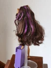 MONSTER HIGH Doll Scaris City of Frights Clawdeen Wolf Case  Near Complete