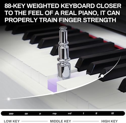 MOSEN Digital Piano 88 Key Weighted Keyboard with Hammer Action  Portable Electric Piano Set with X Stand  Recording Headphone Mode  Sustain Pedal  Music Rest  Dual Keyboard for Beginner  MDP 80D