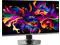 MSI 32 inch UHD 4K 240Hz with AMD FreeSync Premium Pro & Nvidia G Sync compatible 0 03ms 90W USB C OLED Gaming Computer Monitor with Height Adjustable & Swivel Stand MPG 321URX QD OLED