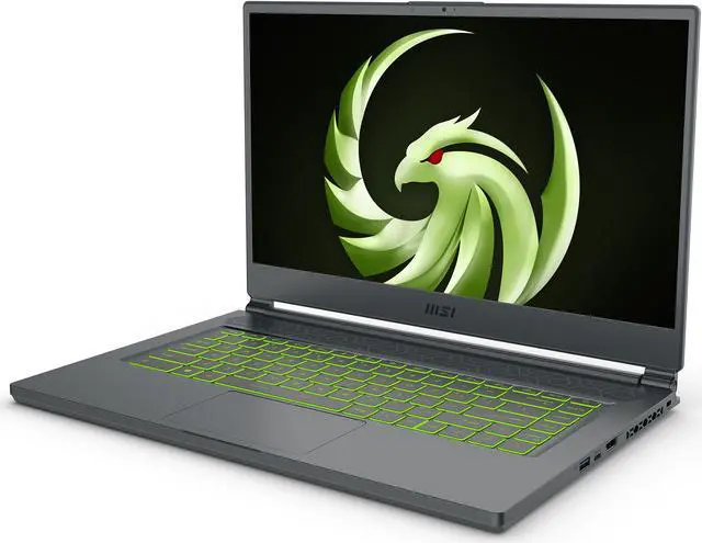 MSI Delta 15   15 6" FHD 240 Hz   AMD Ryzen 7 5800H   AMD Radeon RX 6700M   16GB Memory DDR4 3200   1TB PCIe SSD   Windows 11 Home 64 bit    