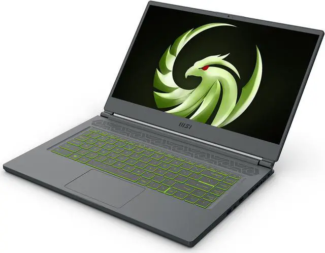 MSI Delta 15   15 6" FHD 240 Hz   AMD Ryzen 7 5800H   AMD Radeon RX 6700M   16GB Memory DDR4 3200   1TB PCIe SSD   Windows 11 Home 64 bit    