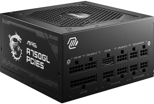 MSI MAG A750GL PCIE5   EU Cord