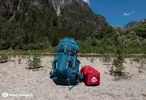 MSR Elixir 4 Person Lightweight Backpacking Tent