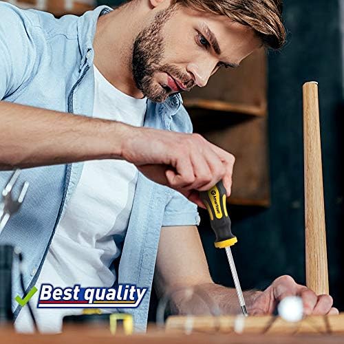 Magnetic Screwdrivers Set with Case  Amartisan 43 piece Includs Slotted  Phillips  Hex  Pozidriv Torx and Precision Screwdriver Set  Magnetizer Demagnetizer Tools  Tools for Men